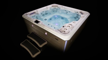 Гидромассажный спа бассейн Hydropool Self Cleaning 770 Platinum Гидромассажный спа бассейн Hydropool Self Cleaning 770 Platinum