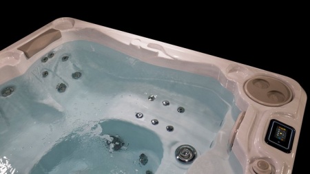 Спа бассейн Hydropool Self Cleaning 570 Gold Спа бассейн Hydropool Self Cleaning 570 Gold